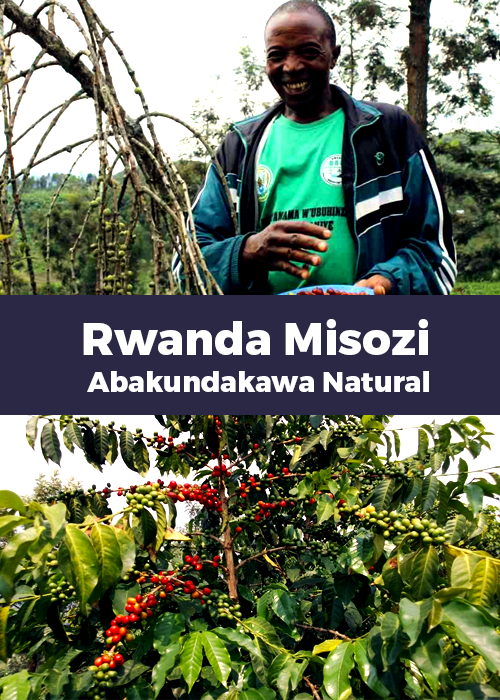 Rwanda Misozi Natural Process