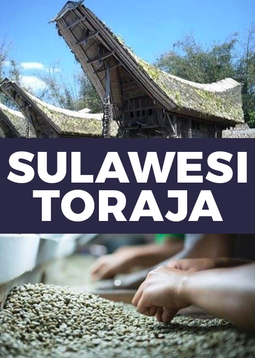 Sulawesi Toraja